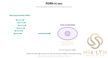 PDRN trị sẹo: hoạt chất sinh học hỗ trợ tái tạo da